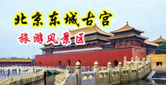 欧美B插中国北京-东城古宫旅游风景区